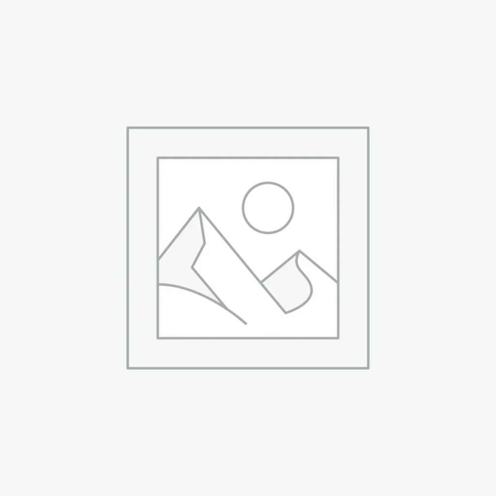 Hikvision Bullet